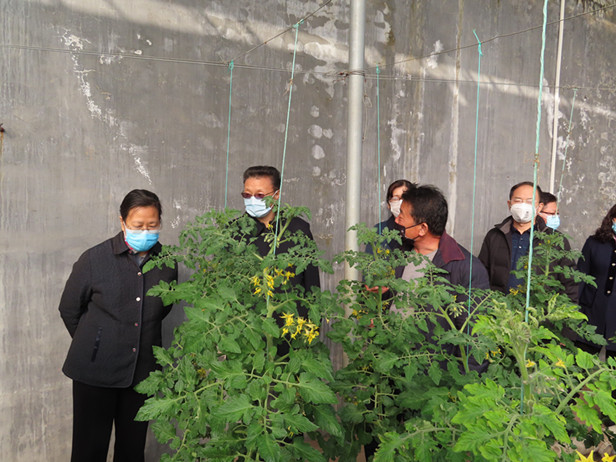 市人大常委会副主任巩宪群带队调研企业、村居、商场复工复产和疫情防控情况
