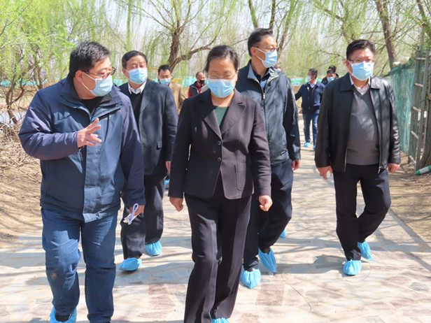 市人大常委会副主任巩宪群带队到槐荫区开展调研活动