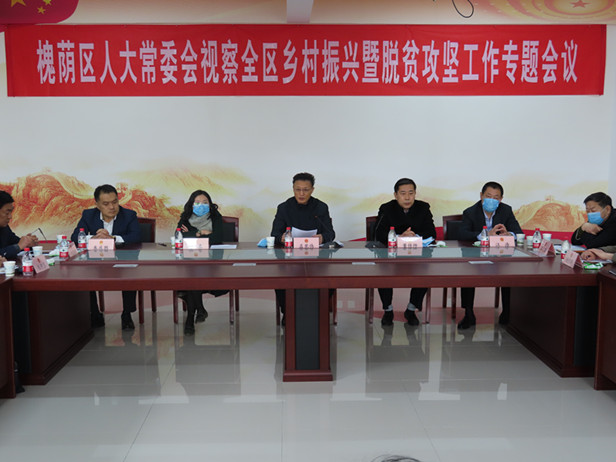 区人大常委会视察全区乡村振兴和脱贫攻坚工作