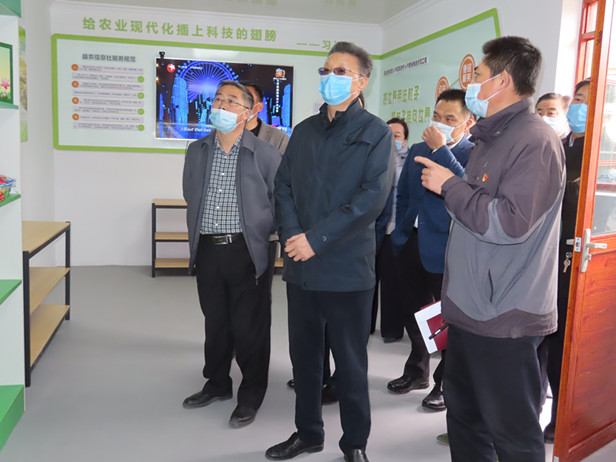 区人大常委会视察全区乡村振兴和脱贫攻坚工作