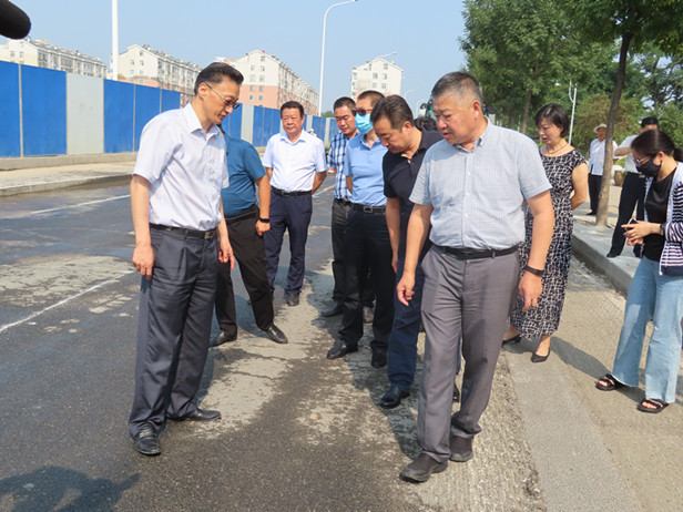 人大代表助推民生实事重点项目落地见效