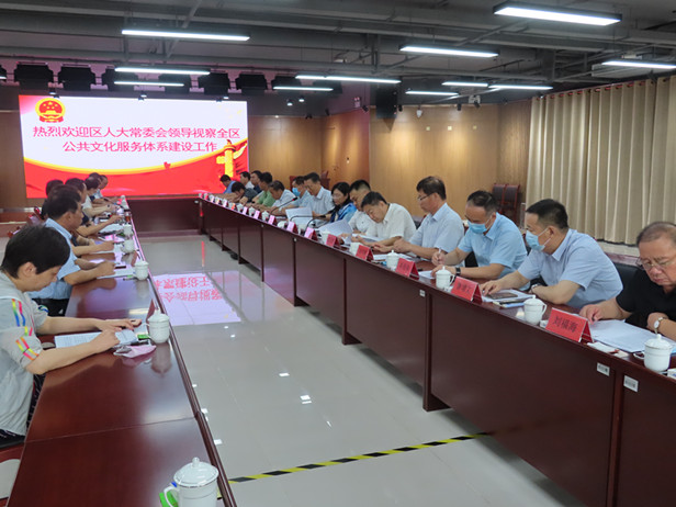 区人大常委会视察全区公共文化服务体系建设情况