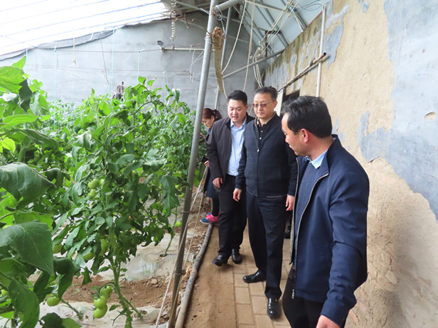 孟宪伟主任带队到济南西城高科农业发展有限公司开展调研活动