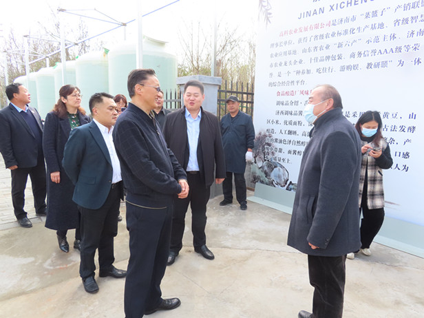 孟宪伟主任带队到济南西城高科农业发展有限公司开展调研活动