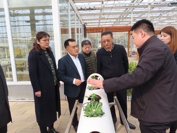 孟宪伟主任带队到济南西城高科农业发展有限公司开展调研活动