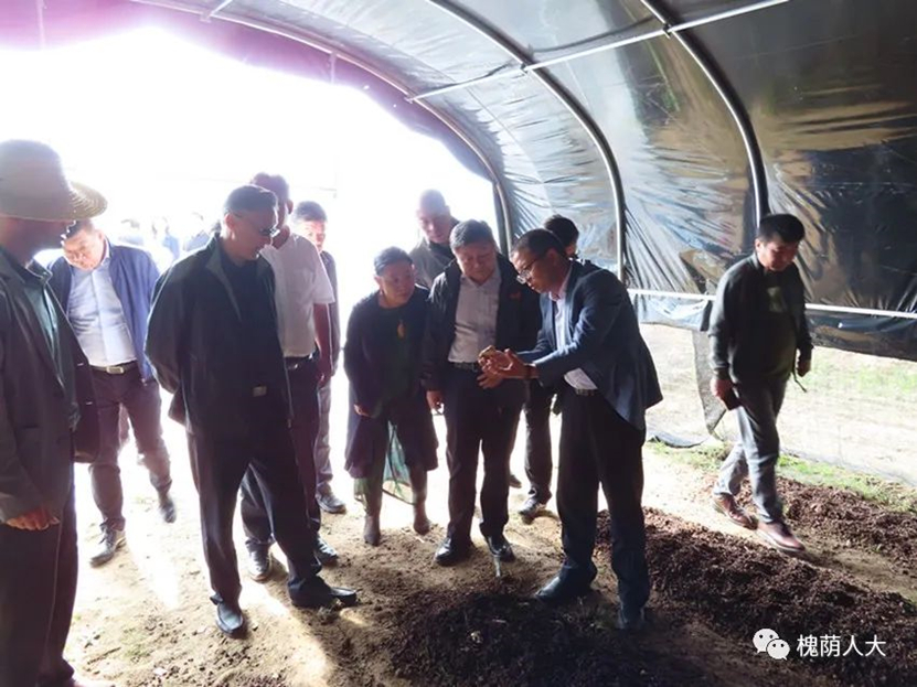 槐荫区人大常委会主任孟宪伟带领考察团赴和政县对接东西部协作工作