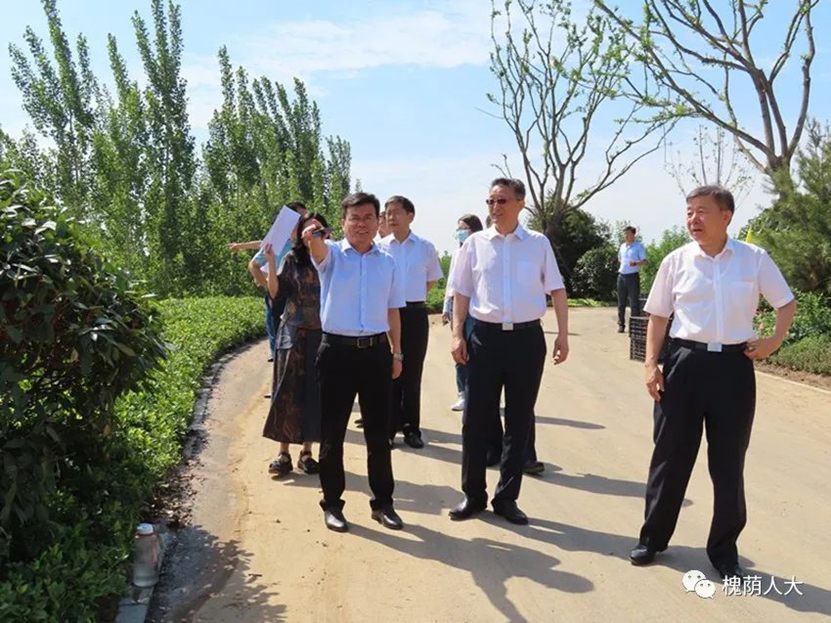 区人大常委会主任会议察看黄河防汛和生态环境保护工作开展情况