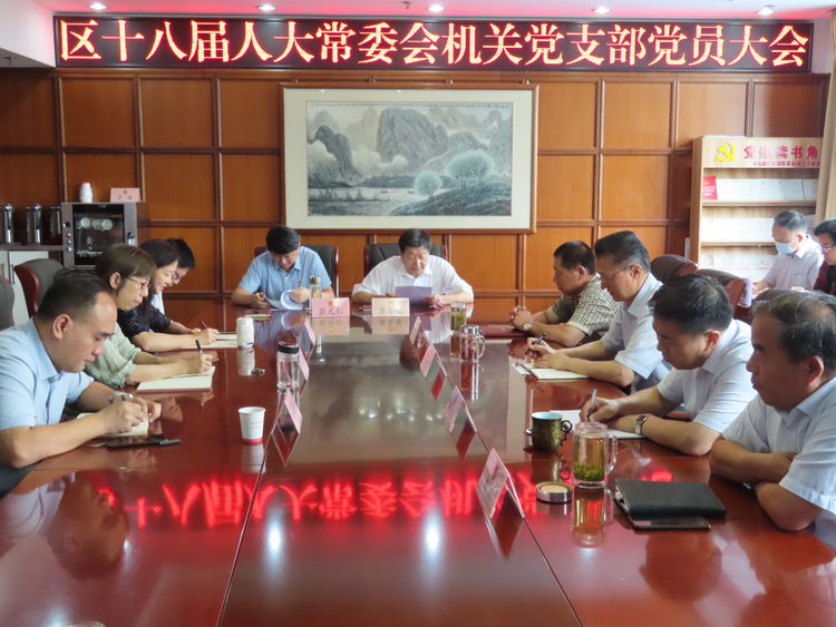 区人大常委会机关党支部学习习近平“七一”重要讲话精神