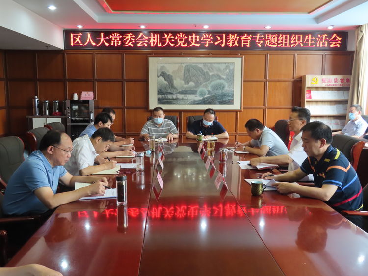 区人大常委会机关党支部召开党史学习教育专题组织生活会