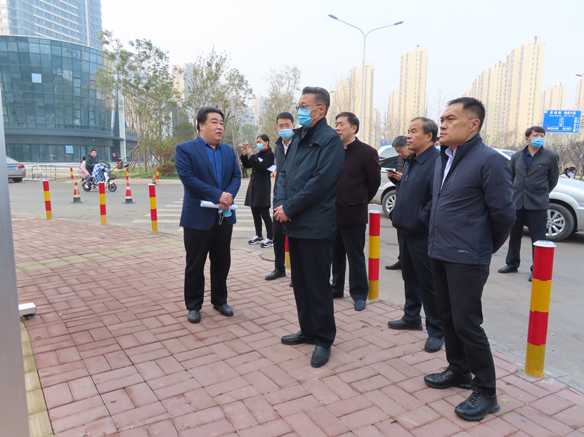 区人大常委会视察全区公园建设和道路建设情况
