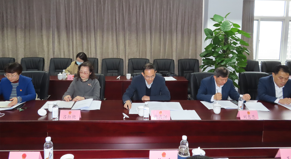 区人大“民呼我应，代表有约”在行动——为企业助力解忧，聚中心履职尽责