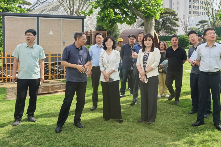 区人大常委会副主任刘莹莹参加道德街街道民生实事重点项目监督活动