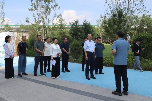 槐荫区人大常委会主任会议视察全民运动健康与防汛工作