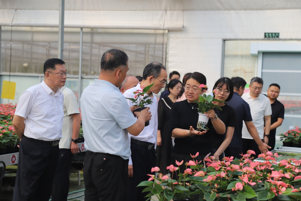 住槐荫区市人大代表到商河县开展专题调研活动